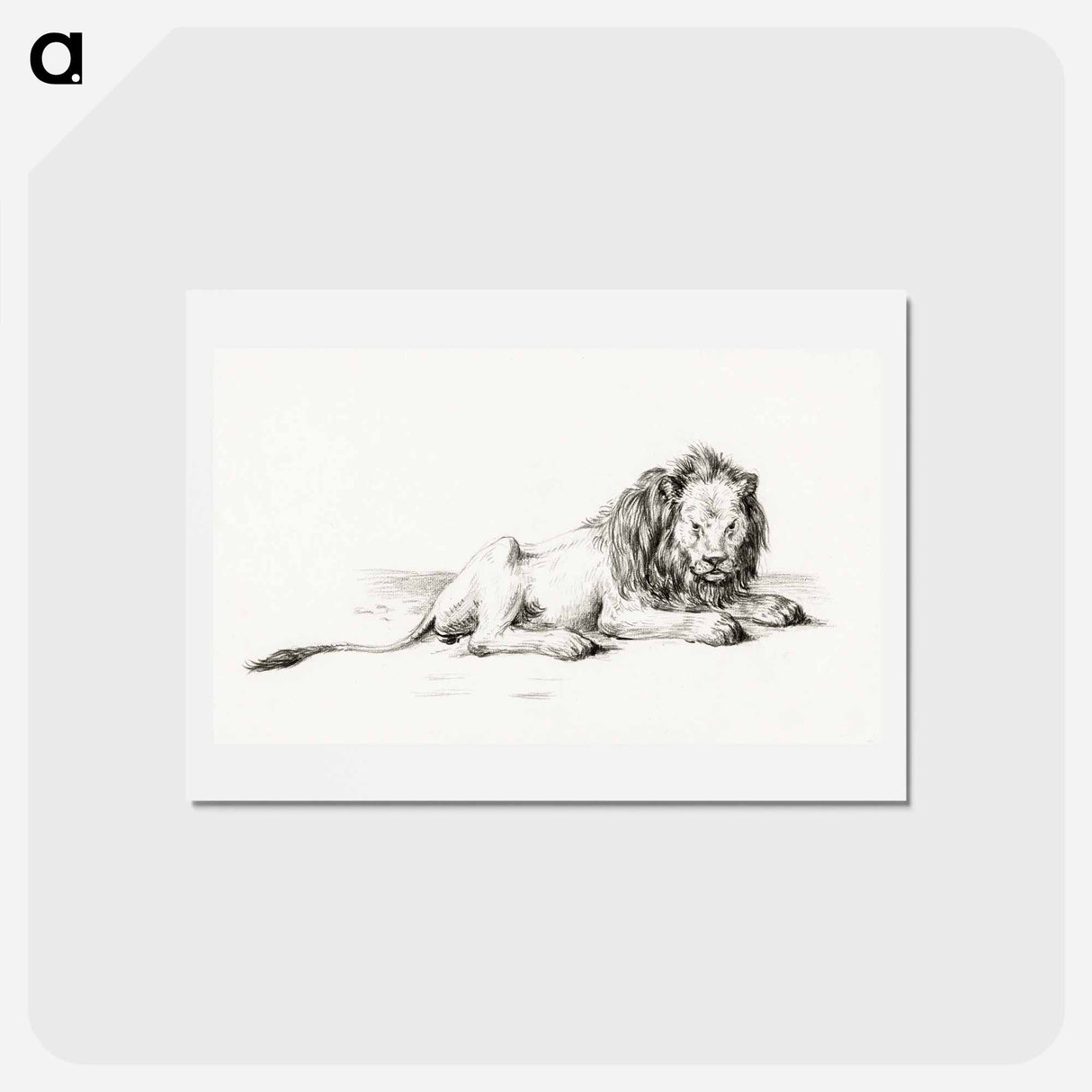 アートポストカード-Lying lion - ジャン ベルナール Postcard.