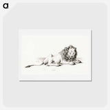 アートポストカード-Lying lion - ジャン ベルナール Postcard.