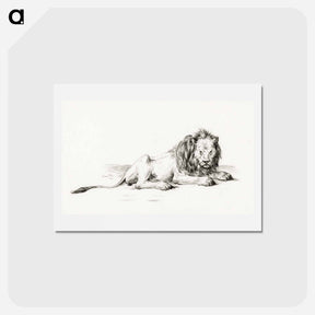 アートポストカード-Lying lion - ジャン ベルナール Postcard.