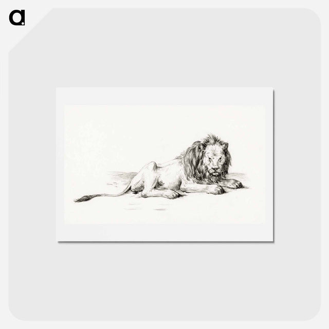 アートポストカード-Lying lion - ジャン ベルナール Postcard.
