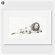 3-9_Jean-Bernard_picture