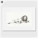 3-9_Jean-Bernard_picture