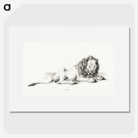 3-9_Jean-Bernard_picture