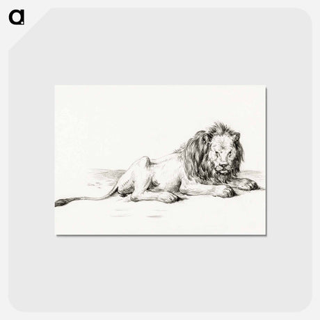 アートポストカード-Lying lion - ジャン ベルナール Postcard.