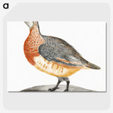 3-9_Johan-Teyler_picture-crop