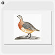 3-9_Johan-Teyler_picture