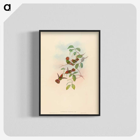 3-9_John-Gould_blk-crop