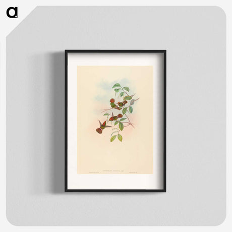 3-9_John-Gould_blk