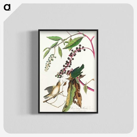 3-9_John-James-Audubon_blk-crop