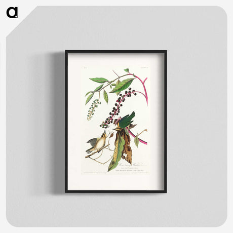 3-9_John-James-Audubon_blk
