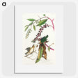 3-9_John-James-Audubon_picture