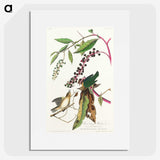 3-9_John-James-Audubon_picture
