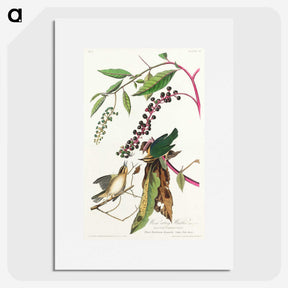 3-9_John-James-Audubon_picture