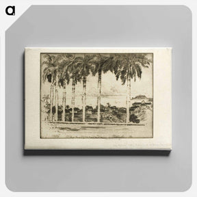 アートパネル-Bishops Walk, Ancon Hill, Panama
 - ジョセフ ペネル Canvas.