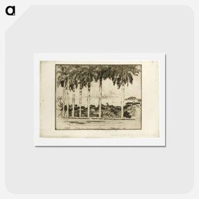アートポストカード-Bishops Walk, Ancon Hill, Panama
 - ジョセフ ペネル Postcard.