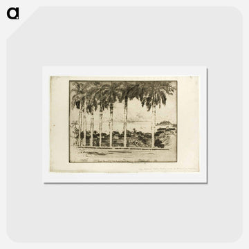Bishops Walk, Ancon Hill, Panama
 - ジョセフ ペネル Postcard.