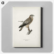 3-9_Magnus-von-Wright_canvas