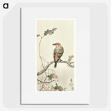 3-9_Ohara-Koson_picture