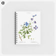 3-9_Pierre-Joseph-Redoute_memo