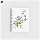 3-9_Pierre-Joseph-Redoute_memo