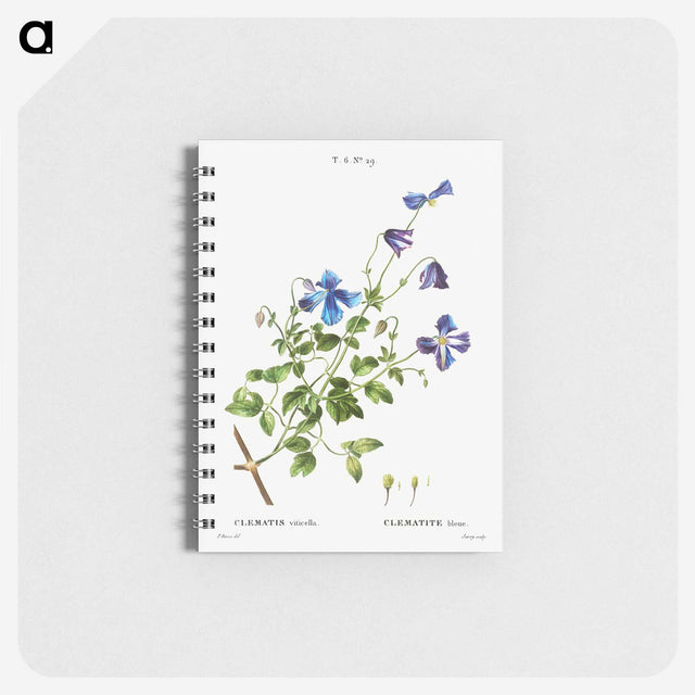 3-9_Pierre-Joseph-Redoute_memo
