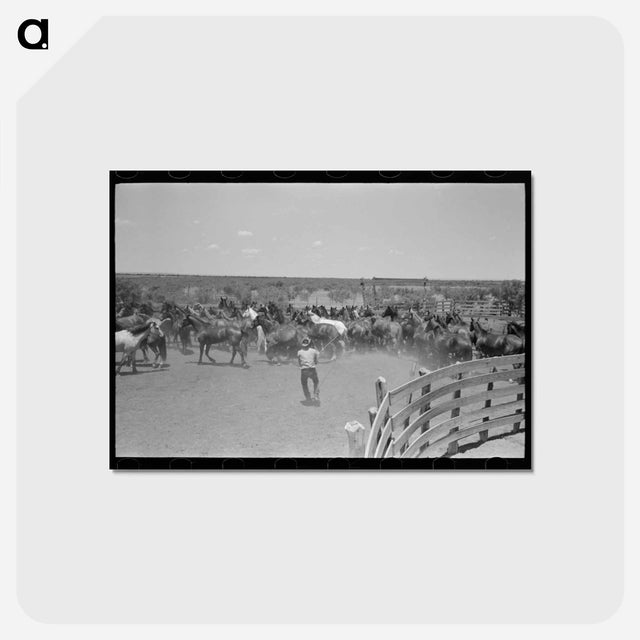 アートポストカード-Horses in the Corral
 - ラッセル リー Postcard.