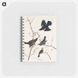 アートメモ帳-Red winged Starling, or Marsh Blackbird from Birds of America
 - アメリカの鳥たち Memo.