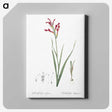3-9_The-Lilies_canvas