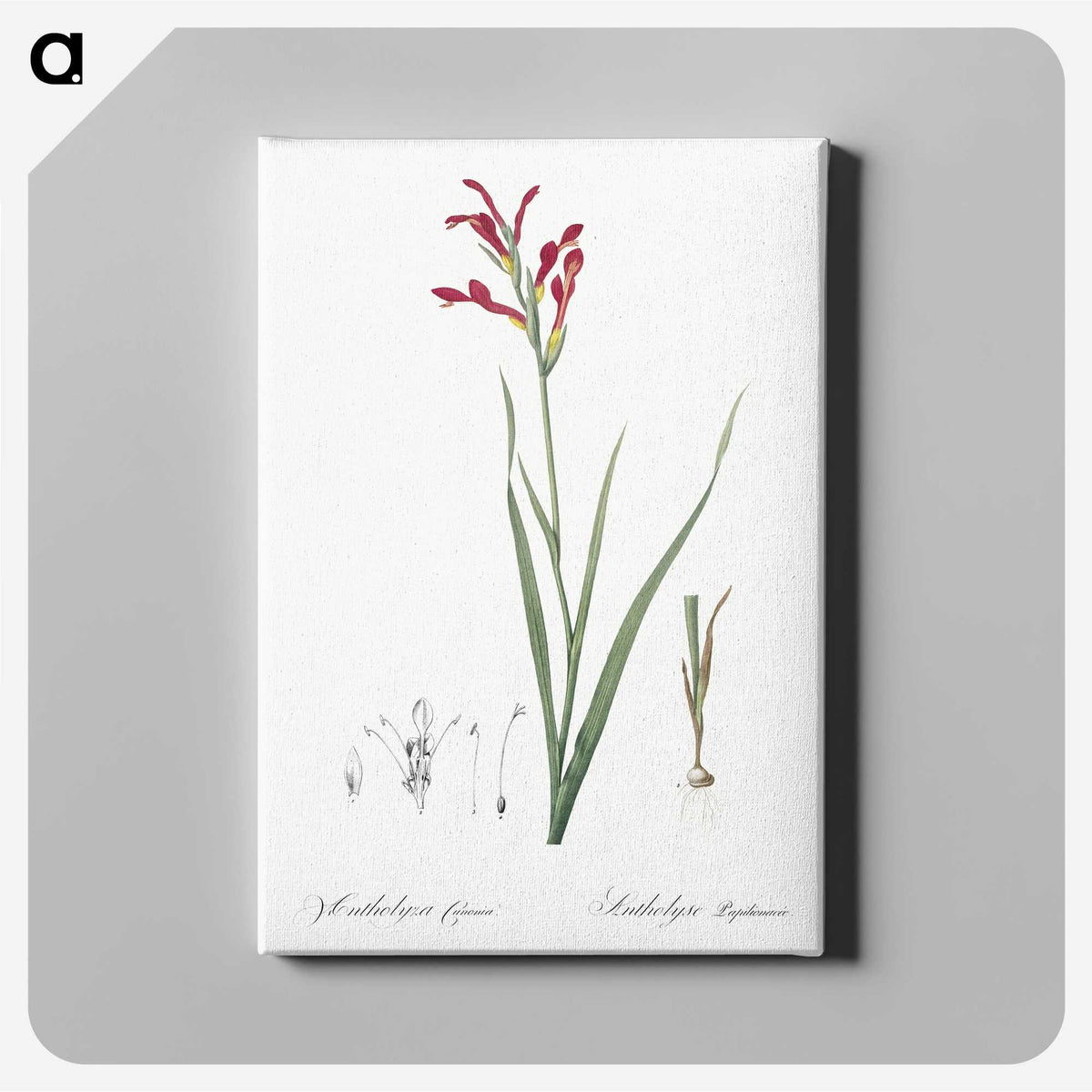 3-9_The-Lilies_canvas