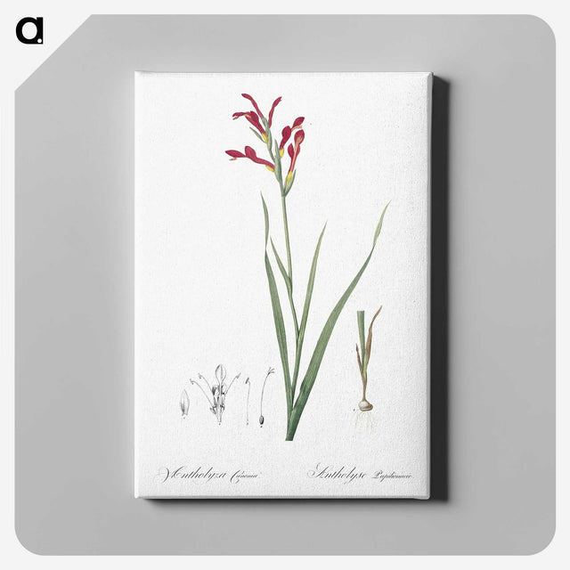 3-9_The-Lilies_canvas