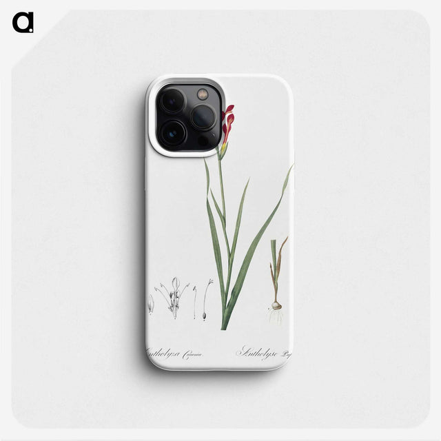 3-9_The-Lilies_phone