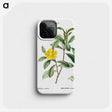 3-9_Treatise-on-Trees-and-Shrubs_phone