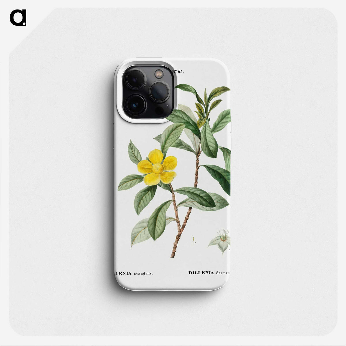 3-9_Treatise-on-Trees-and-Shrubs_phone