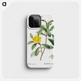 3-9_Treatise-on-Trees-and-Shrubs_phone