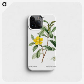 3-9_Treatise-on-Trees-and-Shrubs_phone