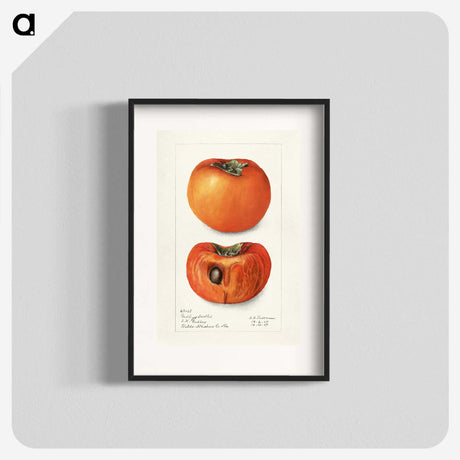 3-9_USDA-Watercolor-Fruit-Painting-Collection_blk