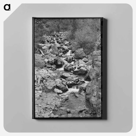 アートパネル-Mountain Stream, Ouray County
 - ラッセル リー Canvas.