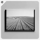 アートパネル-Discing the Land, Idaho
 - ラッセル リー Canvas.