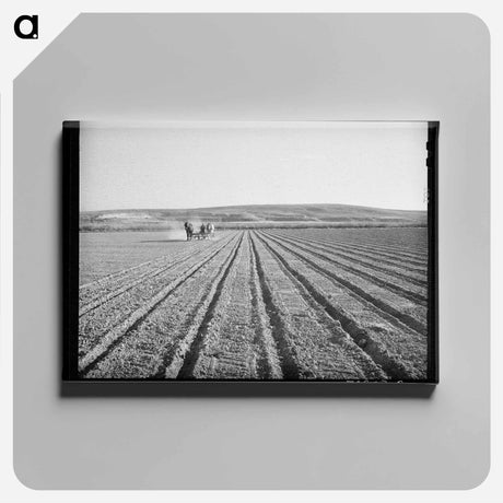 アートパネル-Discing the Land, Idaho
 - ラッセル リー Canvas.