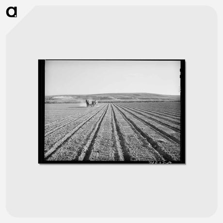 アートポストカード-Discing the Land, Idaho
 - ラッセル リー Postcard.
