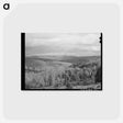 アートポストカード-Vermont Farmhouse
 - ラッセル リー Postcard.
