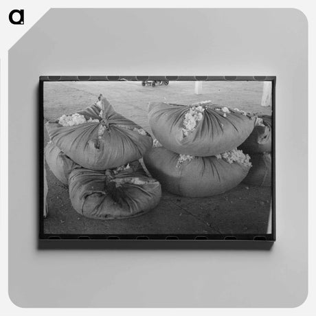 アートパネル-Wool Bundles at San Marcos
 - ラッセル リー Canvas.