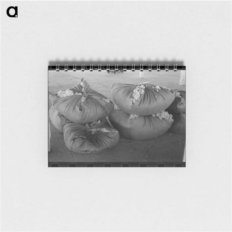 アートメモ帳-Wool Bundles at San Marcos
 - ラッセル リー Memo.