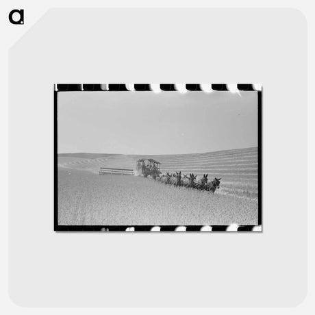 アートポストカード-Wheat Field Combine
 - ラッセル リー Postcard.