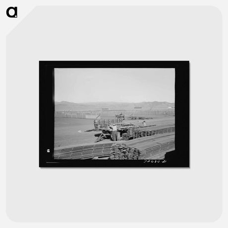 アートポストカード-Guayule Nursery Duckboards
 - ラッセル リー Postcard.