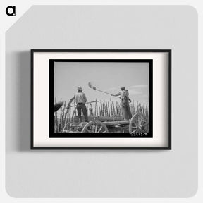 アートポスター-Manure Over the Fence
 - ラッセル リー Poster.