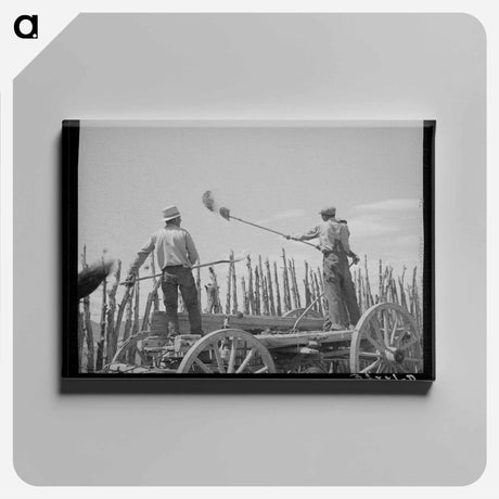 アートパネル-Manure Over the Fence
 - ラッセル リー Canvas.