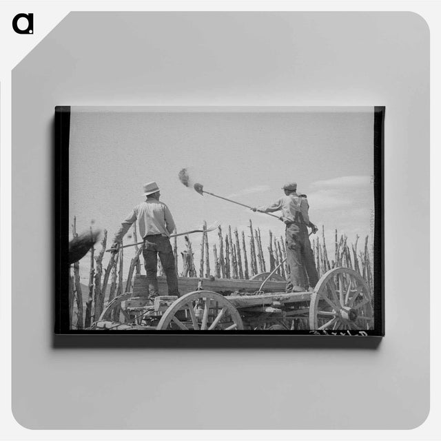 アートパネル-Manure Over the Fence
 - ラッセル リー Canvas.