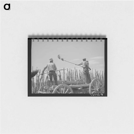 アートメモ帳-Manure Over the Fence
 - ラッセル リー Memo.