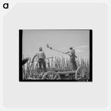 アートポストカード-Manure Over the Fence
 - ラッセル リー Postcard.